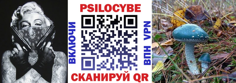купить   KRAKEN   Псилоцибиновые грибы MAGIC MUSHROOMS  Шали 