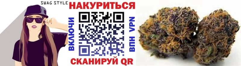 Бошки марихуана OG Kush  купить наркоту  Шали 